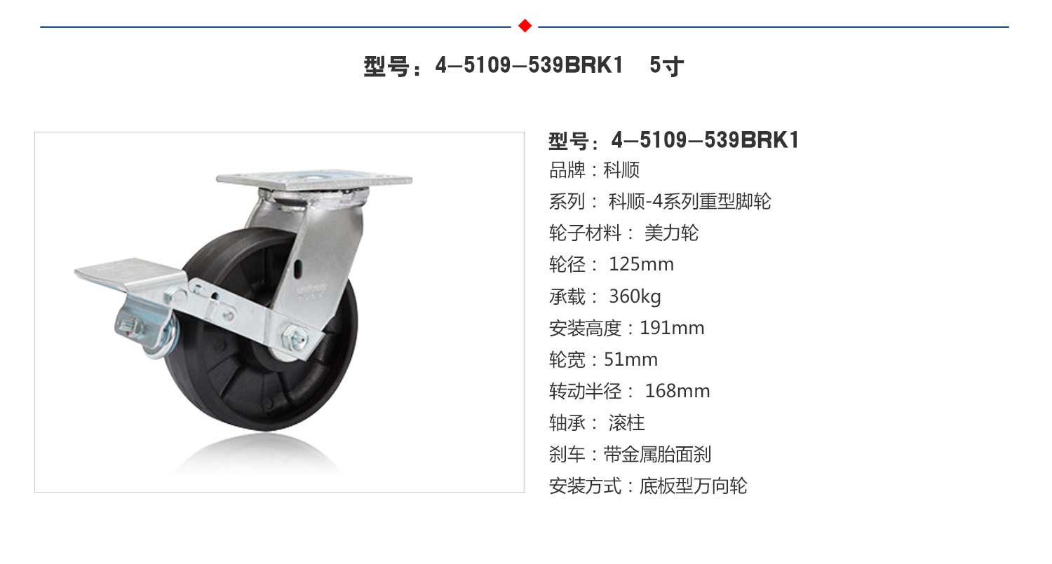 4-8199-539BRK1   5.jpg