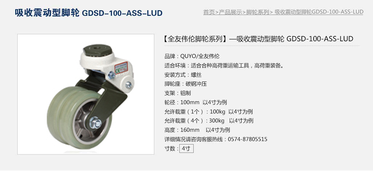 GDSD-100-ASS-LUD  1.jpg